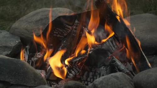 Nahaufnahme von Holz, das nach dem Verbrennen in einem Lagerfeuer Asche umgedreht wurde.