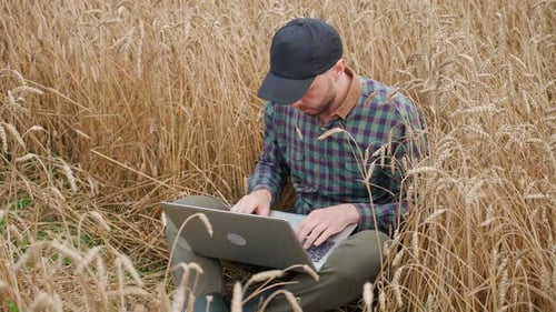 Ökologe sitzt auf einem Feld und arbeitet an einem Laptop, Remote-Arbeit und Selbstisolation in der Natur, SMS, Text