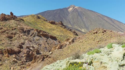 Desert landscape and Teide volcano in Tenerife, tilt up view