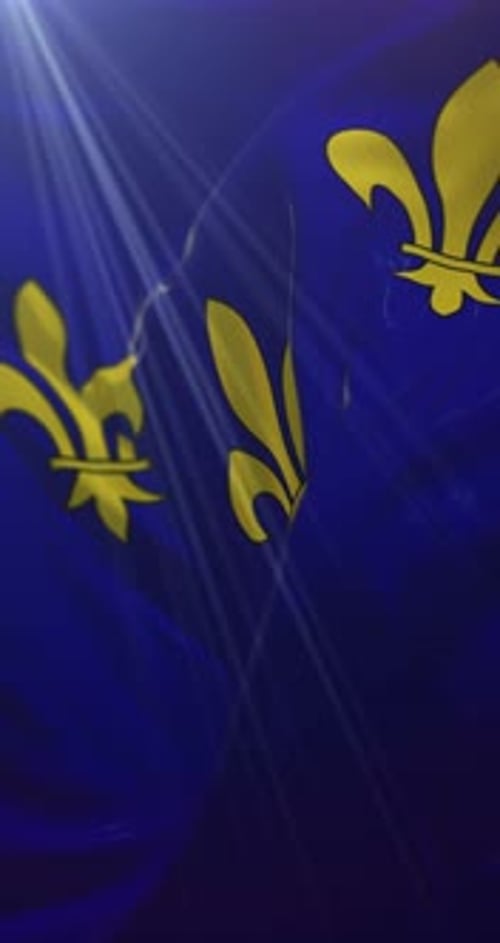 Animated Waving Flag with Golden Fleur-de-lis Symbol