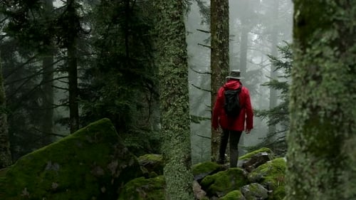 A lone hiker in a red jacket stands and stares around at the top of a cliff silently among old tall
