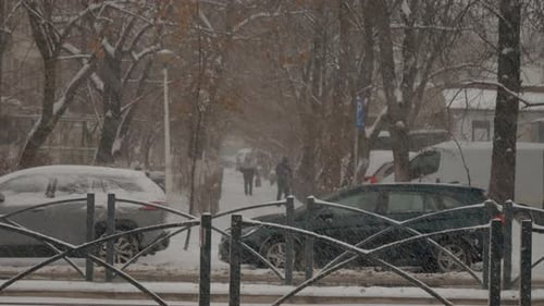 Snow blankets urban streets as winter weather continues to impact the city