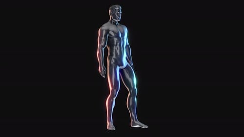 3D Human Figure Scan with Dynamic Light