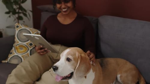 Woman Relaxing on Couch with Beagle and Tablet