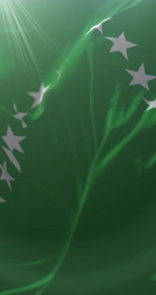 Modern Green Background with Waving White Stars