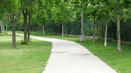 City Parks with Walkaway at Early Morning