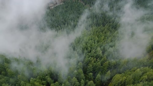 Aerial View of Beautiful Mountain Landscape Fog Rises Over the Mountain Slopes