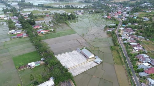 aerial view of paddy fields