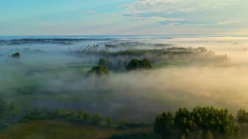 Stunning aerial view of a foggy forest with grassland, sun is making epic light, truck shot to right