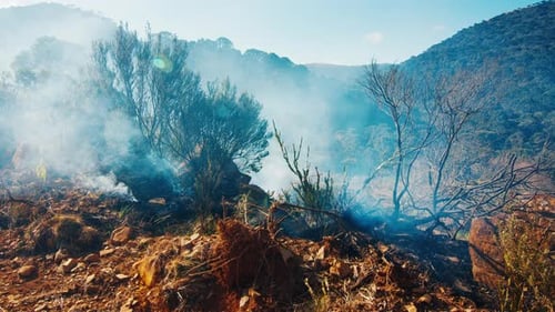 Wild Fire with Intense Smoke in Brazilian Highlands