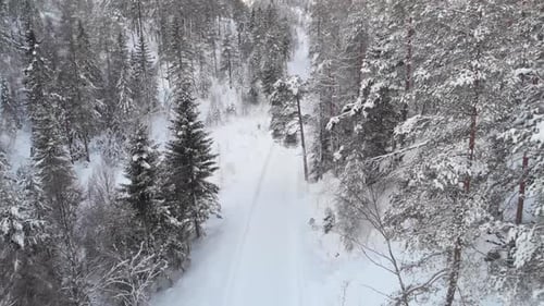 Paysage hivernal de campagne - Une voiture roulant sur une route enneigée dans la forêt - prise de vue aérienne par Drone