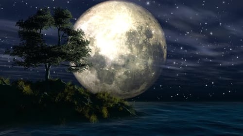 Abstract Tree Sea With Moon Night And Sky 4k Loop