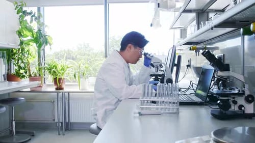 Wissenschaftler und sein Assistent arbeiten im Labor, Arzt, unterrichten Praktikant, um Analyseforschung zu betreiben