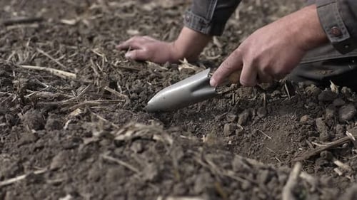 Man digging dirt with shovel in field