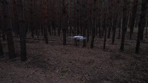 Small Drone Flies In The Forest
