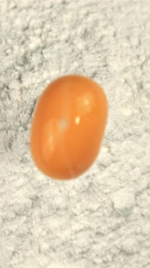 Super Slow Motion Fresh Egg Falls Into the Flour Filmed on a Highspeed Camera at 1000 Fps