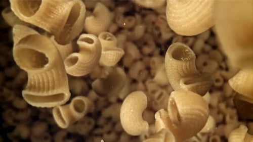 Dry Elbow Macaroni Pasta Falling in Slow Motion