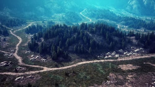 A Scenic Road Curving Through a Lush Forest Landscape