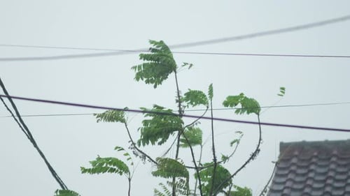 Dark storm clouds with strong winds and rainfall