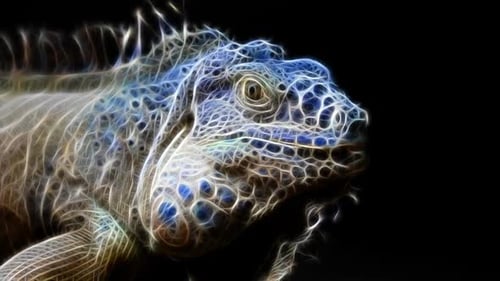 IGUANE FRACTAL