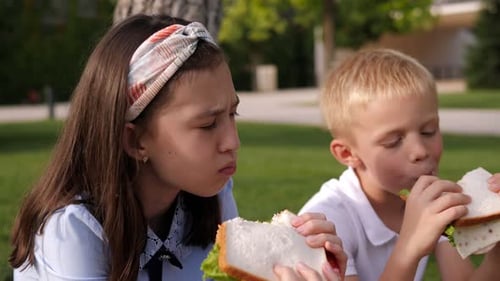 Closeup of Two School Children Eating Sandwiches in the Park on the Green Grass