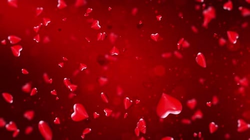 Red Valentines Day Heart Background Loop