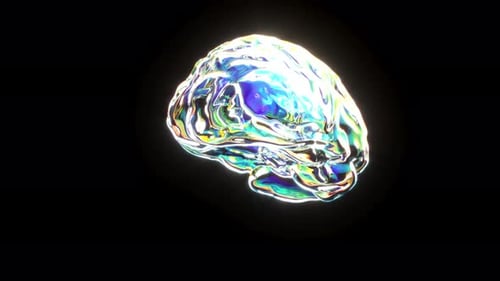 Futuristic Rotating Iridescent Human Brain Animation