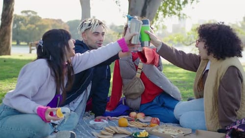 College Friends Toasting and Having Drinks on a Picnic