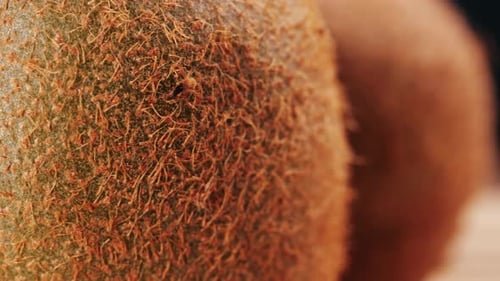 Macro Close-up of Kiwi Fruit Skin Texture