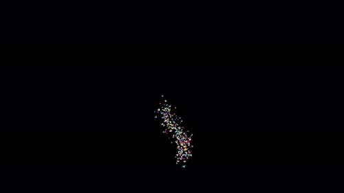 Colorful Swirling Butterflies Abstract Reveal Transition