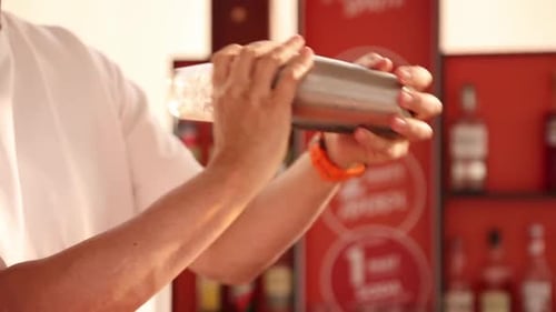 Bartender Shaking Cocktail Shaker