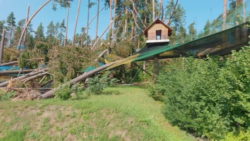A Ruined Amusement Park After a Storm. Fallen Trees. Broken Forest After Powerful Hurricane