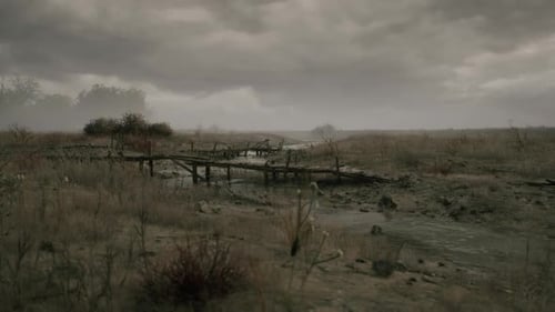 Desolate Landscape with Wooden Bridge Surrounded By Dry Grass and Overcast Sky