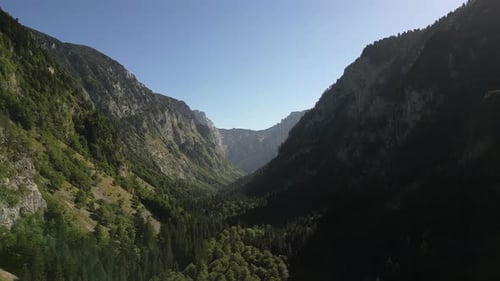 A large gorge covered with forest. Mountain landscape. Aerial view.
