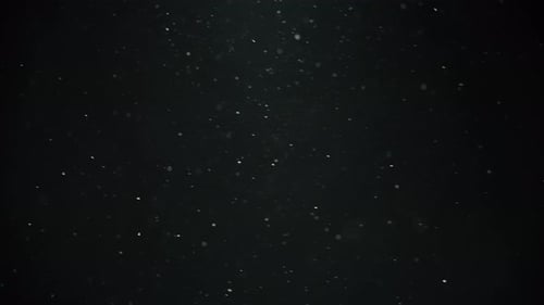 White dust particles in the dark