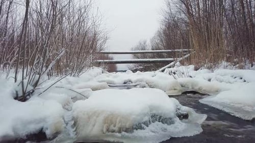 Serene Frozen River Flowing Through a Snow Covered Winter Forest