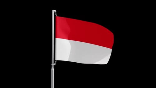 Realistic Waving Flag Animation