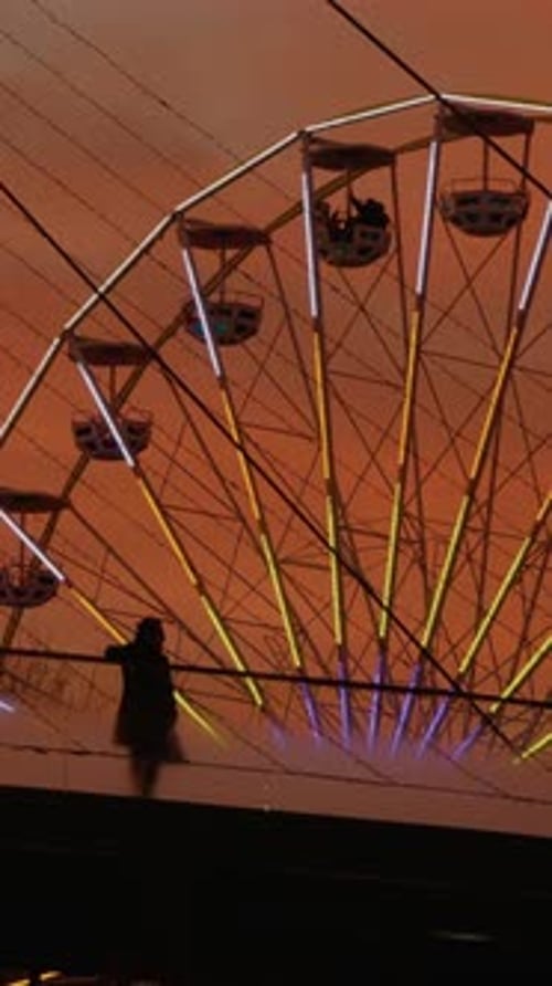 Vertical video Tourists observing Ferris wheel at sunset from bridge
