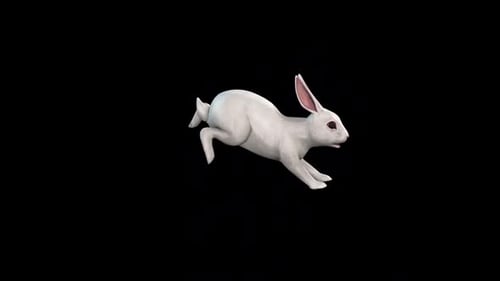 Rabbit Run