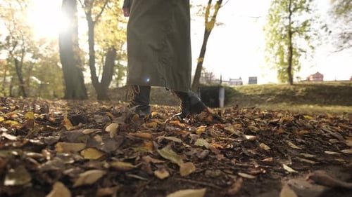 Woman Walks Through Autumn Leaves in Park