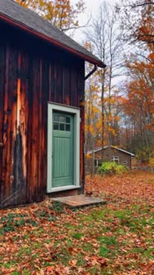 Wooden barn with green door in autumn forest. Vertical shot of a weathered dark wood barn with