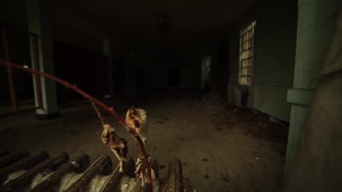 Derelict Decaying Corridor with Broken Window