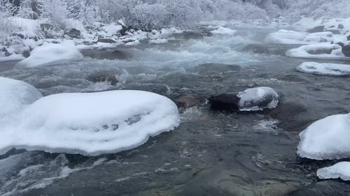 Mountain River Stream in Winter and Snow View on the River and Forest at the Winter Time Natural