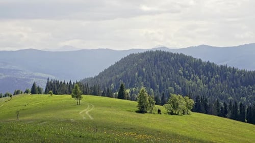 Vallée des Carpates Ukraine Carpates