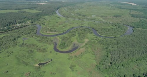 Nature Aerial View River Valley Beautiful View From Height of the Rivers Swamps and Green Forests