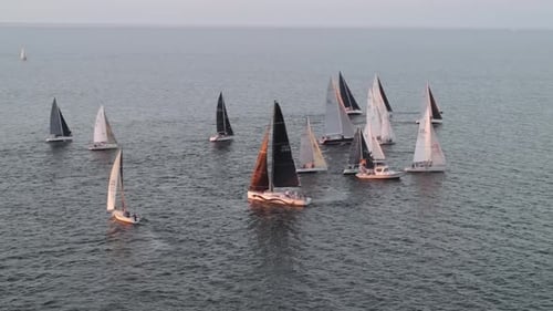 Malerischer Blick auf den Segelwettbewerb während der Sportregatta. Drohne aus der Luft
