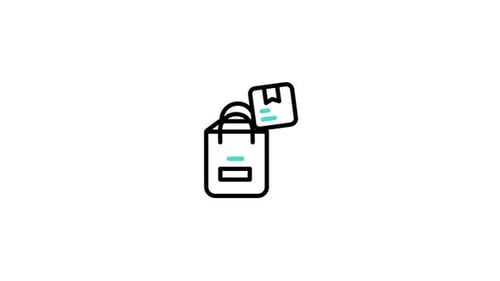 Bag Animated Icon
