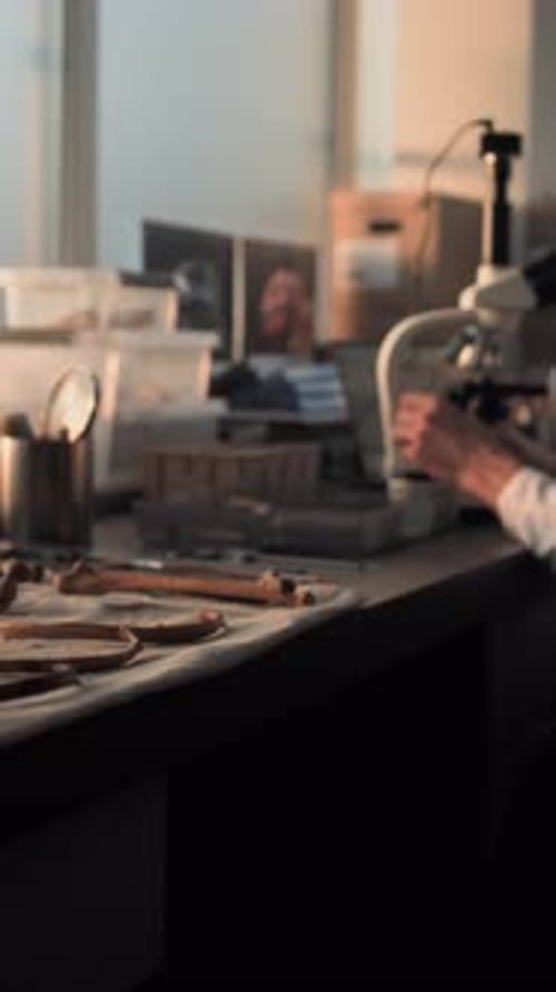 Cientista maduro analisa amostra fóssil usando microscópio e laptop