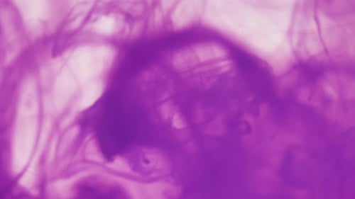 Mistura de cores abstratas, gota de tinta, mistura de cores, tinta caindo na água, tinta colorida na água, respingos de tinta