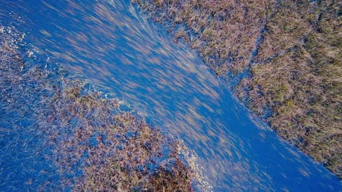 Above View Of Swamp Grass In Rural Nature. Aerial Topdown Shot